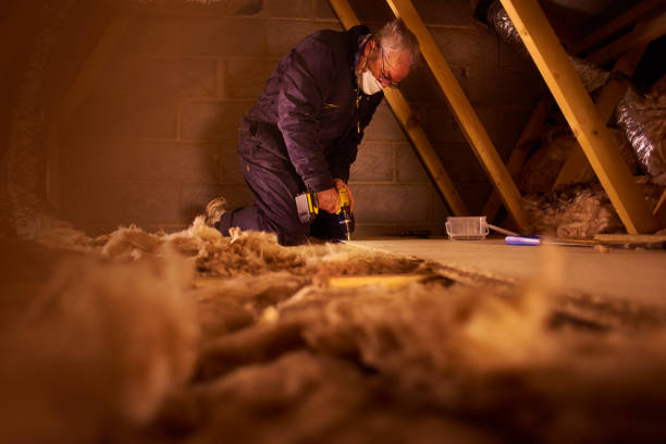 Best Attic Insulation Installation  in Memphis, TN